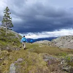& * Velfjord