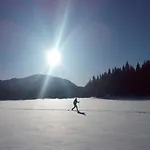 Camping&hytter