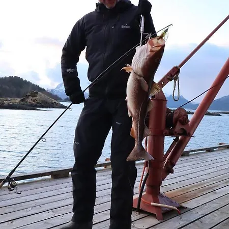 & * Velfjord