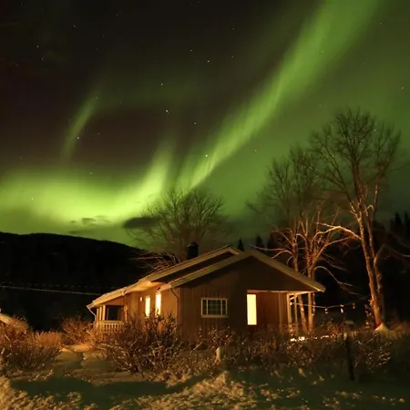 & * Velfjord