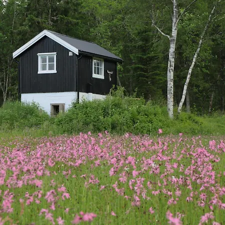 Holiday home & Velfjord