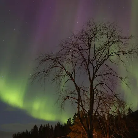 Ferienhaus & Velfjord