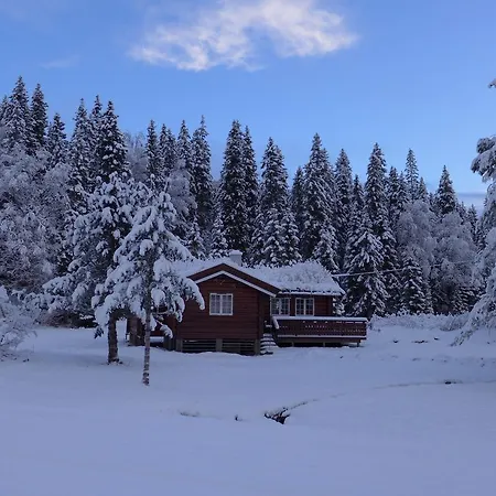 Holiday home &