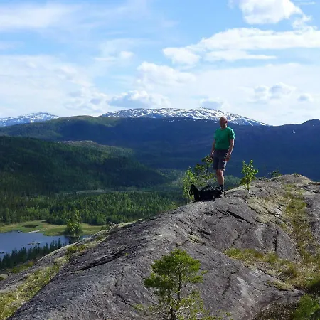 & * Velfjord