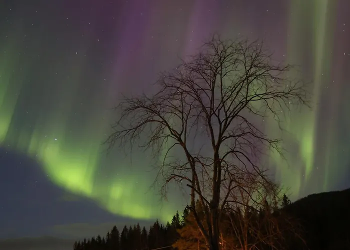 Ferienhaus & Velfjord