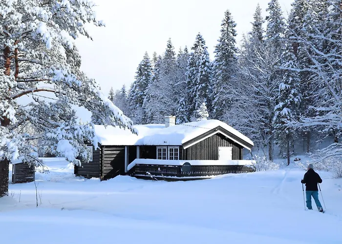 & Ferienhaus Velfjord