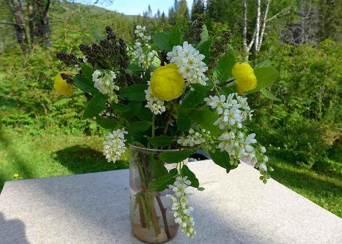 Casa de Férias & Velfjord