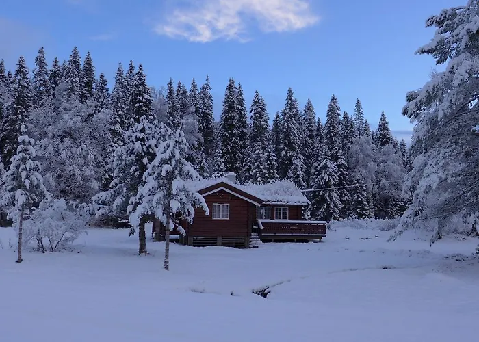 Holiday home &
